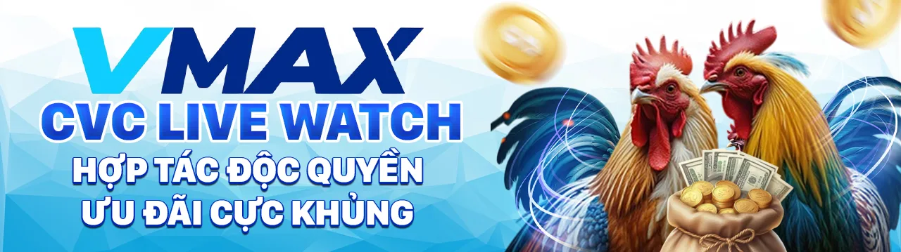 banner vmax