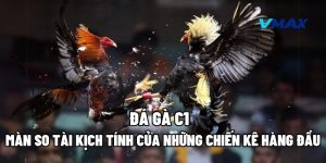 Đá Gà C1 – Màn So Tài Kịch Tính Của Những Chiến Kê Hàng Đầu