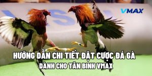 Hướng Dẫn Chi Tiết Đặt Cược Đá Gà Dành Cho Tân Binh Vmax