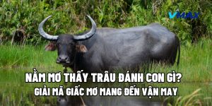 Nằm Mơ Thấy Trâu Đánh Con Gì? Giải Mã Giấc Mơ Mang Đến Vận May