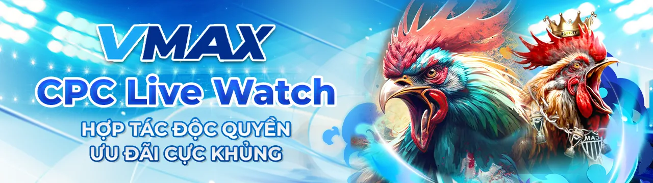vmax banner